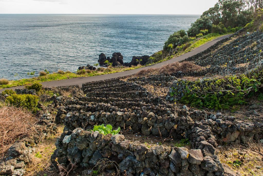 Adega Velha Vila Calheta de Nesquim Exterior foto