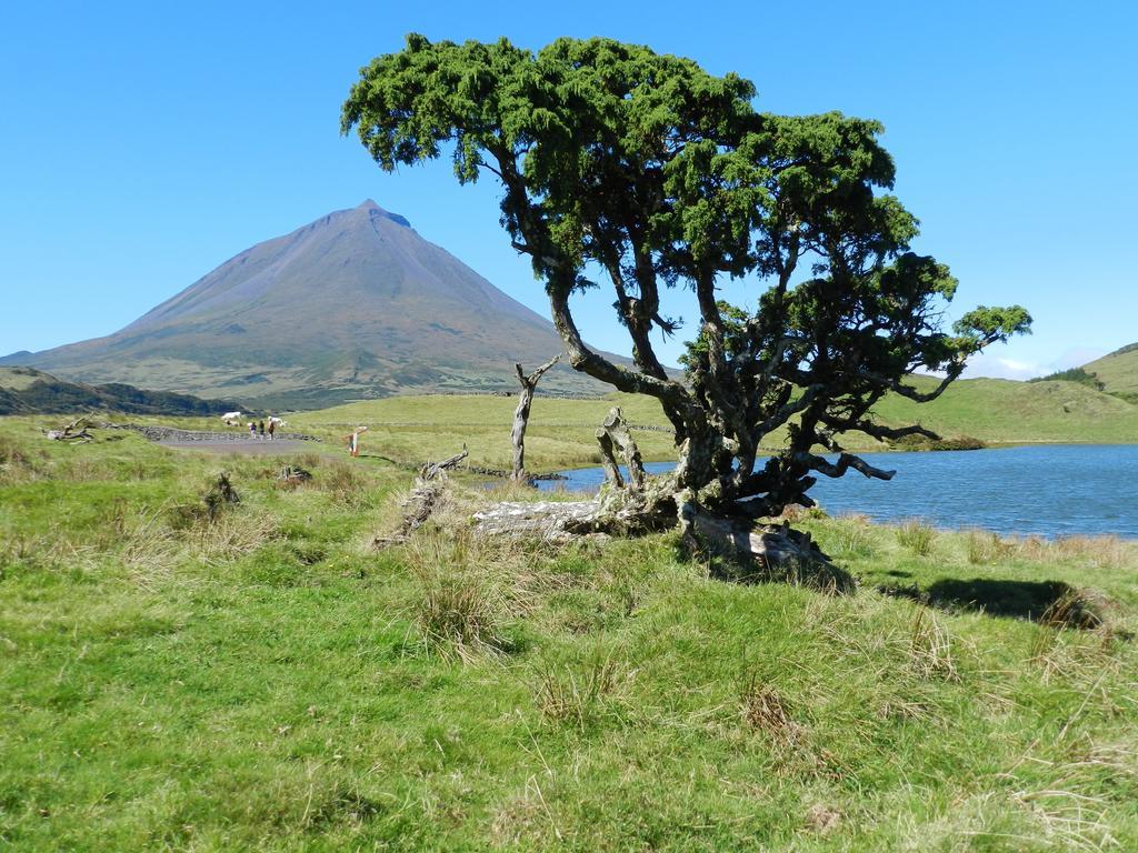 Adega Velha Vila Calheta de Nesquim Exterior foto